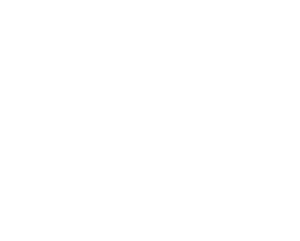 DataIn_header-logo_icon+wordmark_WHITE